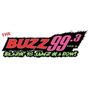 Логотип Radio The Buzz 99.3 FM